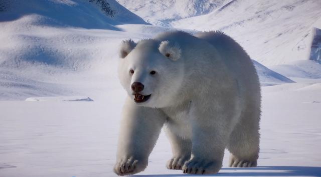 《动物园之星》首款DLC已正式推出与北极熊相约(1)