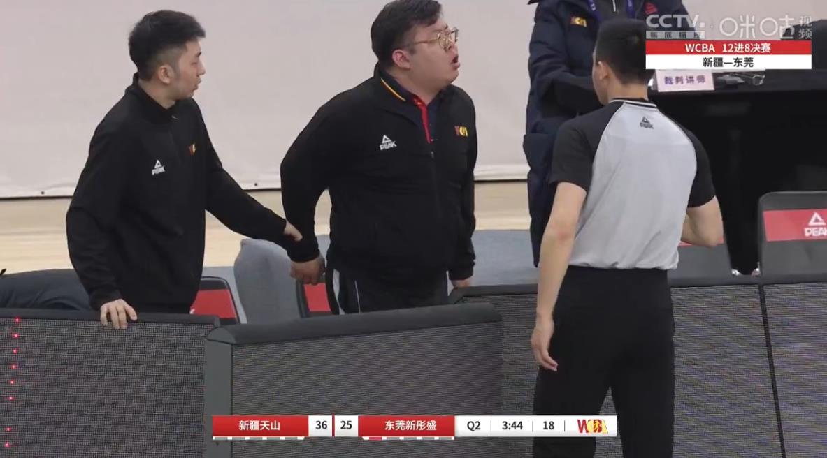 王丽丽率新疆女篮晋级WCBA季后赛8强，东莞女篮输球又输人(3)