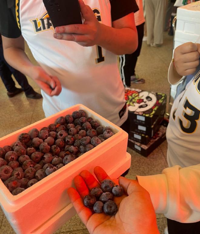 辽宁球迷拿了好多草莓，还有拿蓝莓的！
郭艾伦在社交媒体发文表示要请全队吃草莓，但(1)