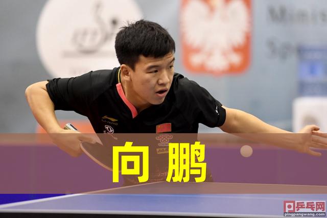 乒乓球世青赛，11月28日国乒6场预告，团体双冠后开启单打征途(2)