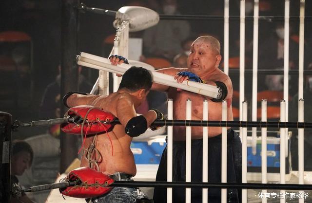日本疫情期间举办摔角比赛惹众怒，成嗜血者天堂，还有恶心的毒虫(1)