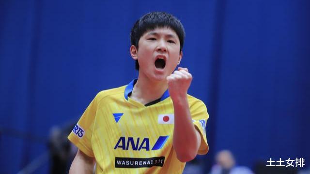 反手进步明显！张本智和4: 0零封世界冠军，入选国际乒联十佳球(2)