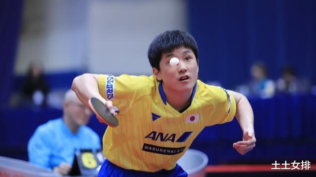 反手进步明显！张本智和4: 0零封世界冠军，入选国际乒联十佳球(3)