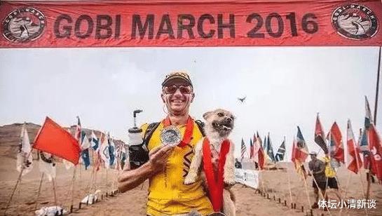 马拉松不仅人能跑，中华田园犬也能参加！网友：精神比体育更重要(3)