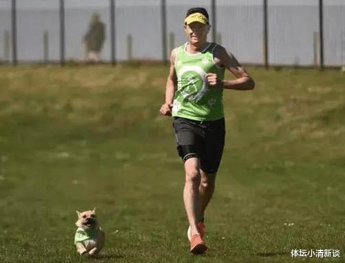 马拉松不仅人能跑，中华田园犬也能参加！网友：精神比体育更重要(5)