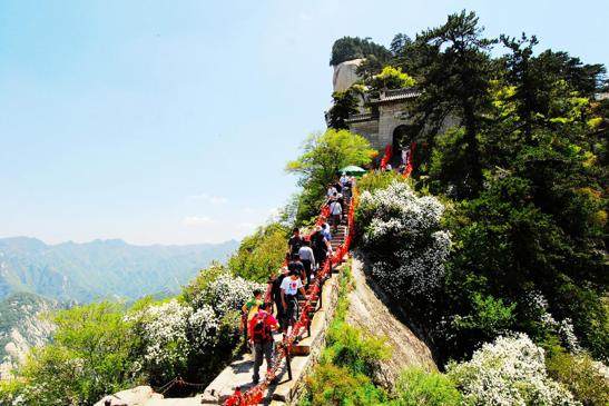 挑战华山奇险 中国自然岩壁攀登公开赛如约而战(5)