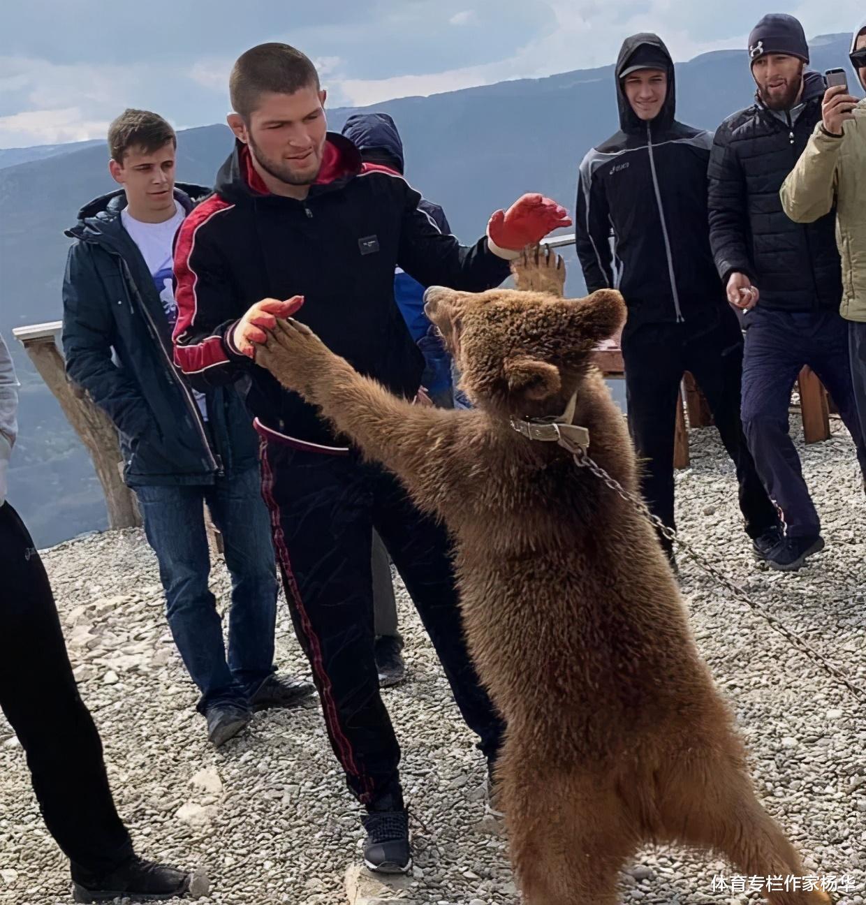 俄罗斯拳王哈比布与狮子拳击，与熊摔跤，但却被一只巨蟒吓得直跑