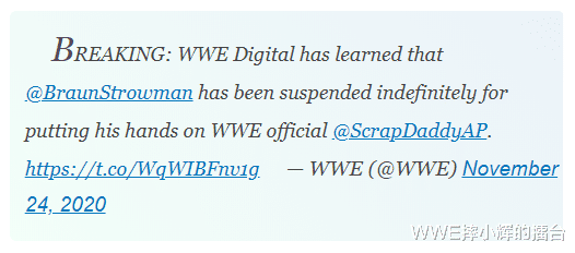布朗斯图曼被WWE无限期停职, 总是失败的黑羊到底欠缺什么?(3)