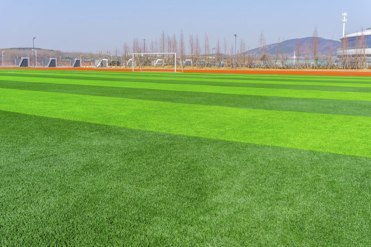豫媒: 郑州市社会足球场已达260块, 较2015年新增球场210块