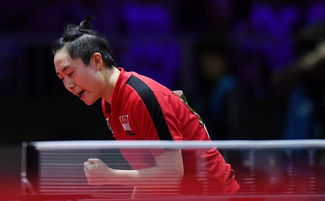 冯天薇：19岁被国乒淘汰，是金子总会发光，以新加坡人身份夺冠(8)