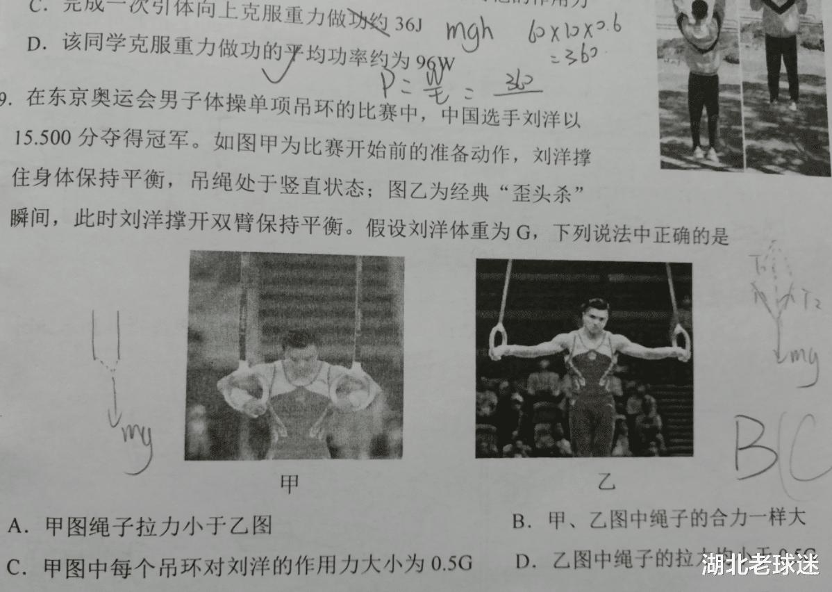 东京奥运冠军再上考试卷！全红婵后第二人，考题有他的经典动作(2)