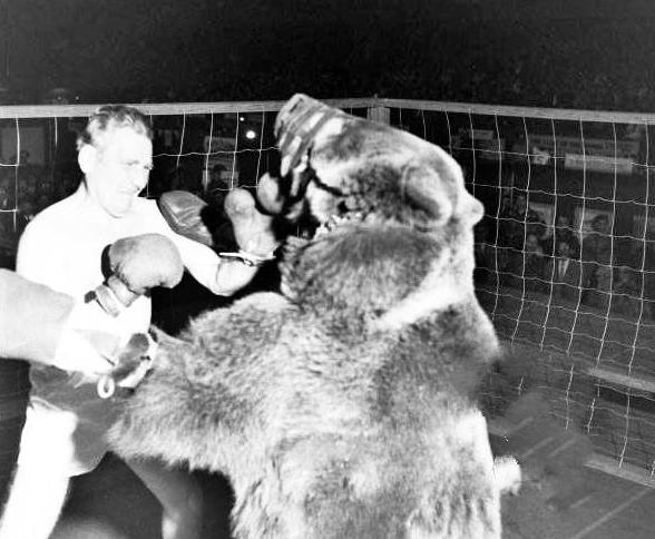 人类能否徒手搏杀棕熊？看看这场棕熊与拳击手对战的比赛(2)