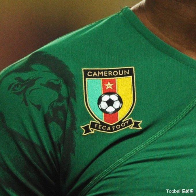世界杯32强巡礼之喀麦隆：星味黯淡，非洲雄狮难现昔日荣光