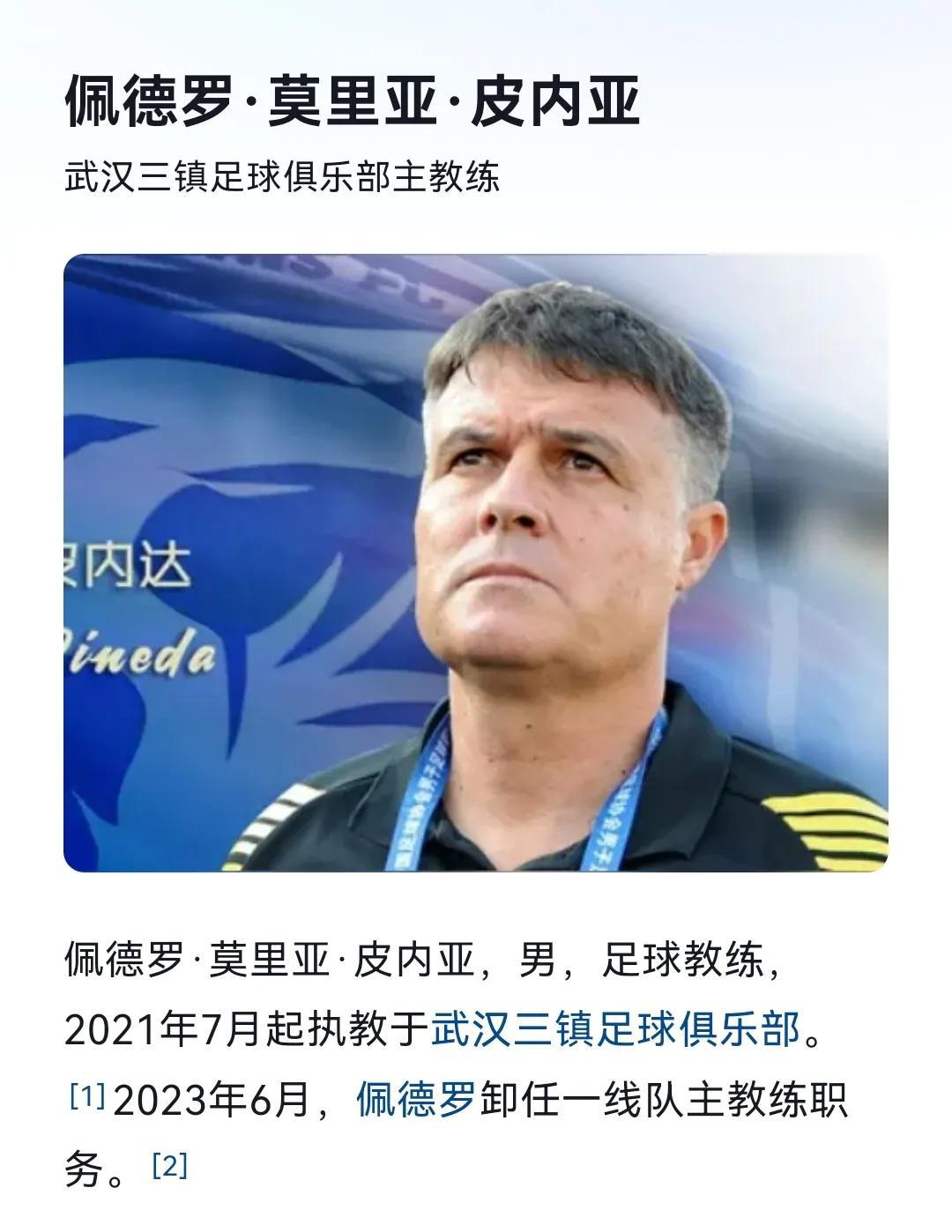 给河南队寻找主教练

给河南队推荐一位主教练，武汉三镇队前主帅佩德罗。2023年
