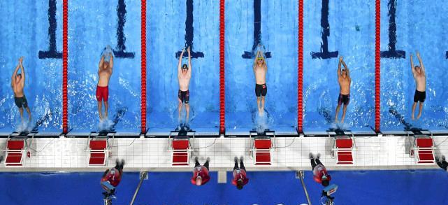 答疑：奥运会游泳项目有多少金牌？(2)