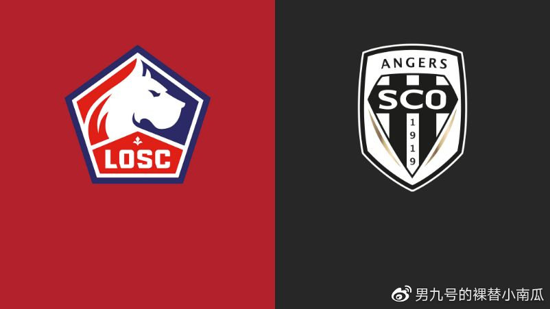 2019-20赛季法甲第4轮里尔vs昂热(1)