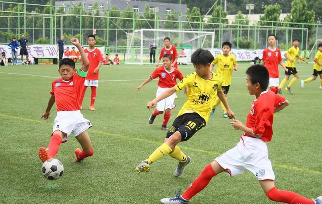 中国小孩想踢球都难，是中国足球发展的最大瓶颈(7)