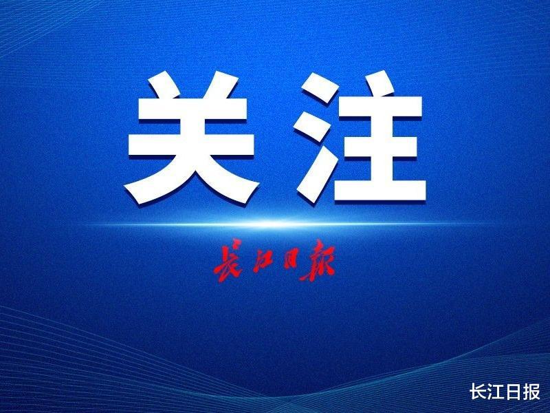足协新一届执委会名单：高洪波离任，王霜、郑智入选