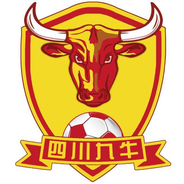 中国足协官方公告：同意四川九牛更名为深圳新鹏城